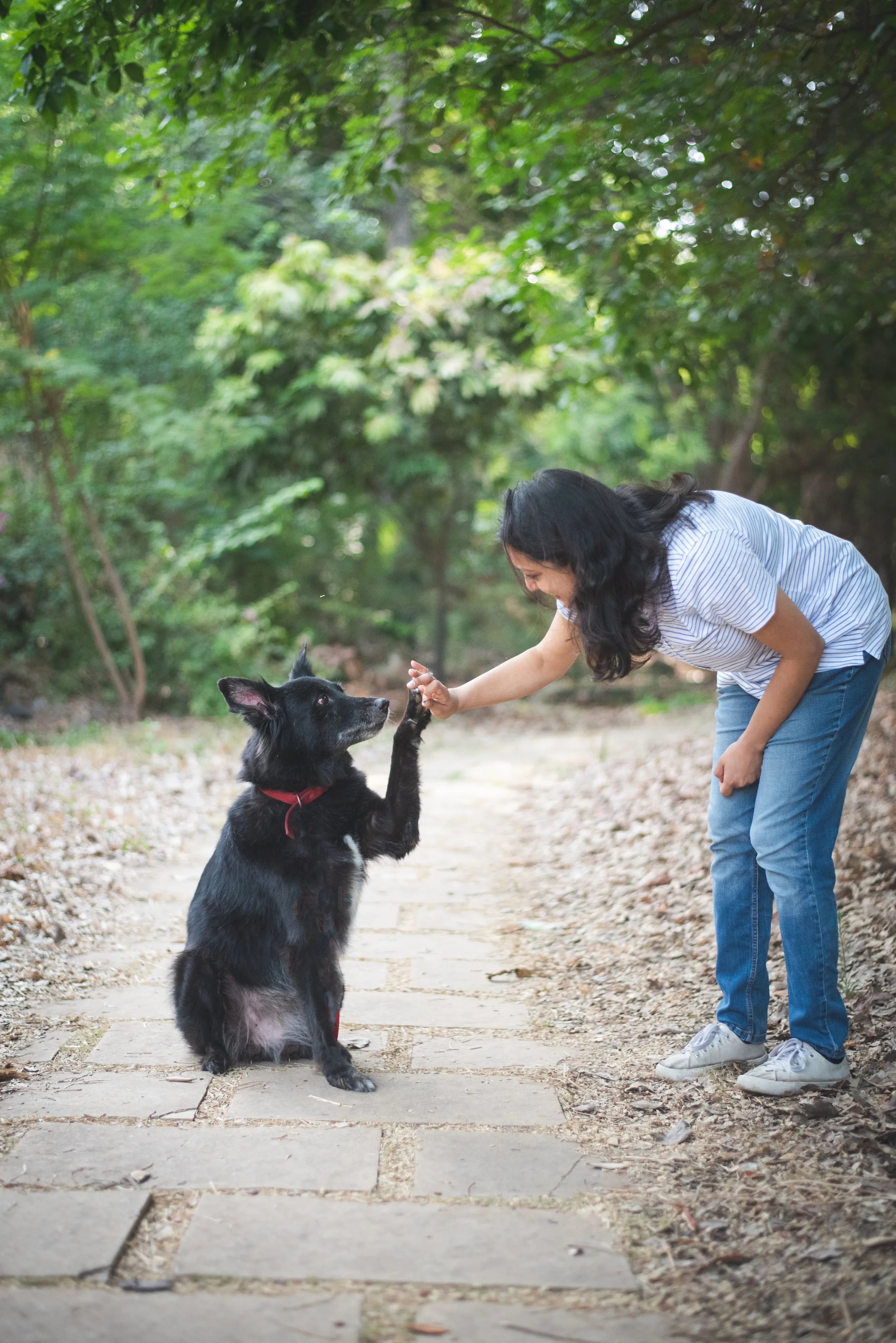 Alisha rewarding a dog during a training session